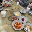 1박2일 속초여행 1탄: 단천식당, 보사노바 커피로스터스, 속초아이