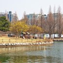 일산호수공원 이미지
