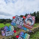 초롱목장 | 제주도 만삭스냅 사진 태명토퍼 임신출산토퍼 케이크토퍼 주문 월화수목금토퍼