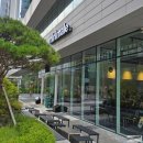 OK타운 | 과천카페 미니말레 커피뢰스터 과천지식정보타운 카페 내돈내산 후기