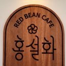 홍설화