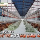 안동한우 정육식당 이미지