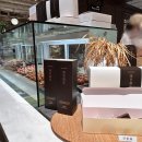 연리희재 | 영등포 타임스퀘어 연리희재 개성주악 팝업 포장 후기