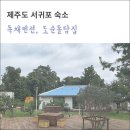 도순 | 제주도 독채펜션, 서귀포 도순돌담집