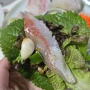 신천동 803-1 L | 동대구역 신천동 맛집 &#39;경주횟집&#39; 신선한 회와 푸짐한 스끼다시!