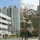 명덕여중,명덕여고,명덕외고,명덕고등학교 이미지
