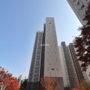 관저북로 이미지