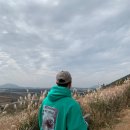 보헤미안애월