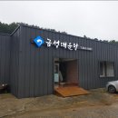 금성매운탕
