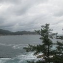 포구풍경