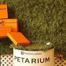 펫타리움 청담점 이미지