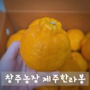 창주농장 이미지