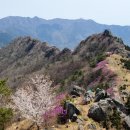 태백동 공영주차장 이미지