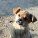 진숙농장 이미지