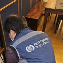 성남경로식당 | 음식점 식당 쥐퇴치 인천 방역 전문업체 후기