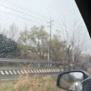 비캐스트 | 가평 캐스트라 글램핑 후기 내돈내산ㅣ비오는날 글램핑