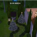 심즈