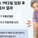 반달실비
