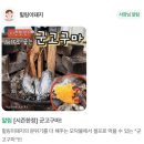 대전가볼만한곳 캠핑갬성을 느끼고싶을때 갓성비냉삼맛집 힐링이돼지~후기
