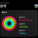 금대에코힐링캠핑장 | 04월주간일기 0421-0427 이렇게 또 어른이 된 우리, 그리고 금대에코힐링캠핑장