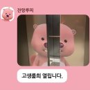 원조마포구이