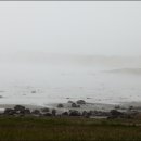 아이슬란드 렌트카여행 #017 - 안개낀 구불구불한 해안선, 이스트 피오르드(East Fjord) 이미지