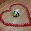 경포파인 이미지