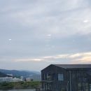 불모산장어 이미지