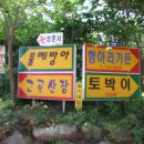 고골산장 Daum카페