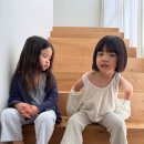 미니봉봉 네이버블로그