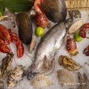 보물바다 이미지