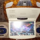 HUSKY DVD