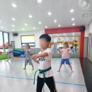 경희대 석사 우리 태권도장 이미지