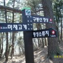 송정임업