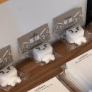 강릉 월화거리 소품샵 추천, 월화선물가게 기념품 쇼핑 후기 🎁