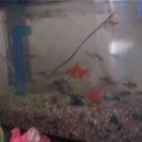 미션세상 이미지