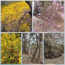 점봉농장 이미지