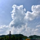 노동당사~대마리 입구 가로수 | 2019 통일부 주최 DMZ 국제 청년 평화순례/미래센터, 평화전망대, 노동당사, 백마고지/4일차,5일차