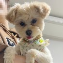 동대문엽기볶이 이미지