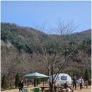 곤트란쉐리에 이미지