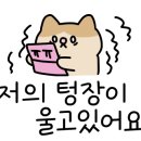 배달삼겹당근돼지