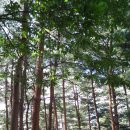 바우길 15구간 이미지