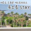 제 2 용오름 태권도 | 제주도 조용한 게하 용오름 STAY 게스트하우스