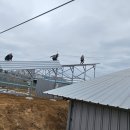 전**태양광발전소 이미지