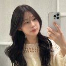 세진미용실 네이버블로그