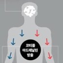 기억력 감퇴 원인 스트레스 해소 방법 이미지