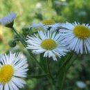 흙내음풀내음 이미지