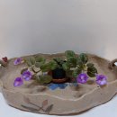 타우르스 이미지