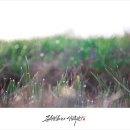 부신농장 이미지