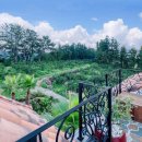 하논의 아침 이미지